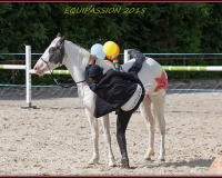 2-13JUIN 0016